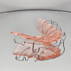 Hawley Retainer